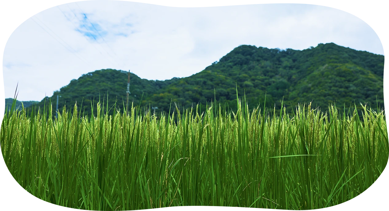 COBA FARM
